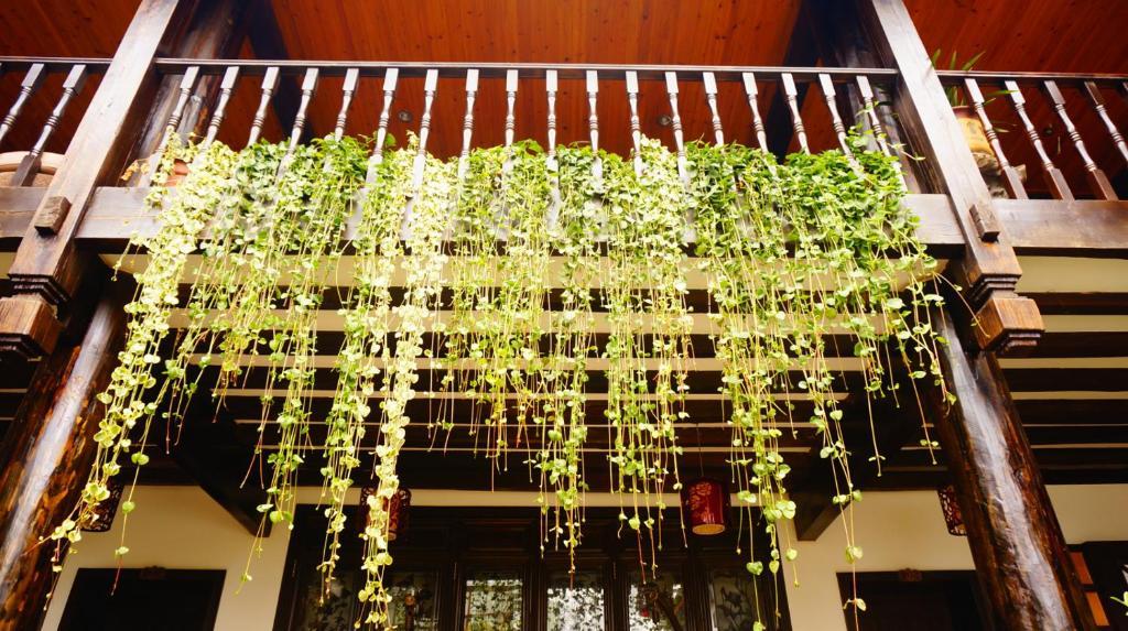 Lijiang Wangjia Courtyard Inn Exteriör bild